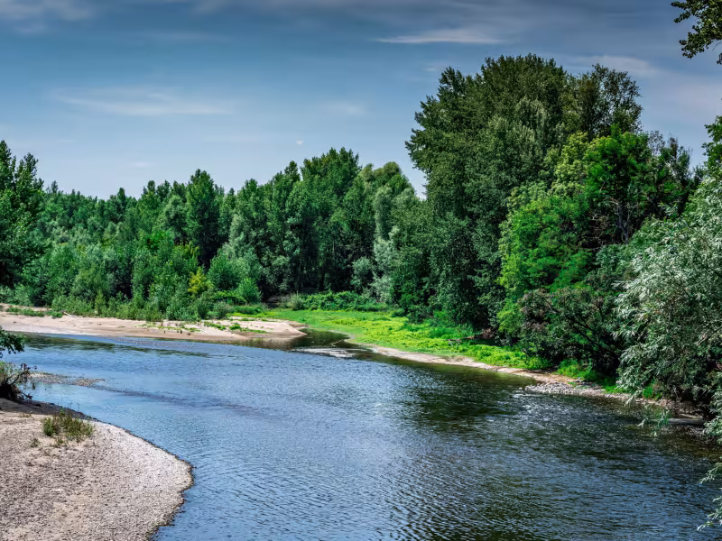 Confluence de la Morge et de l'Allier à Luzillat