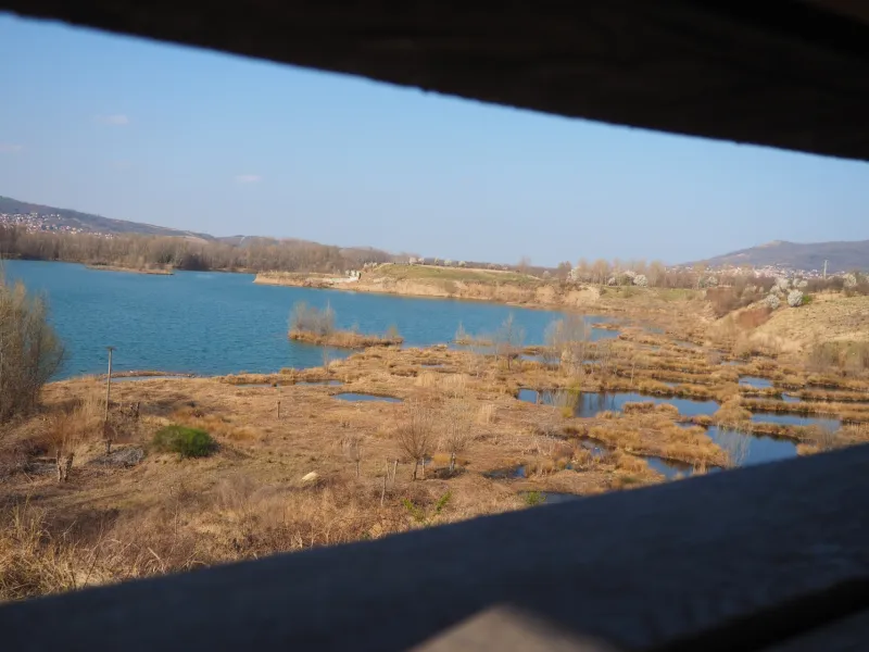 Observation à l'étang de La Roche-Noire