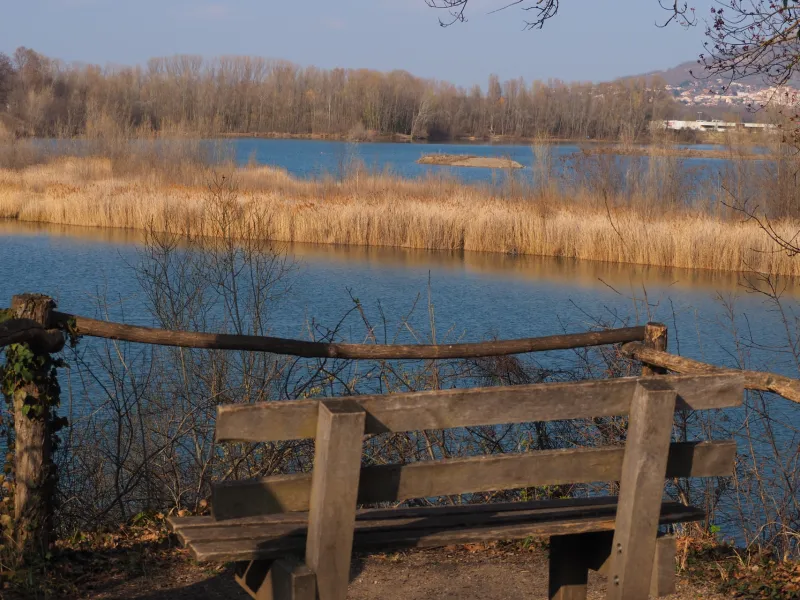Etang de La Roche-Noire