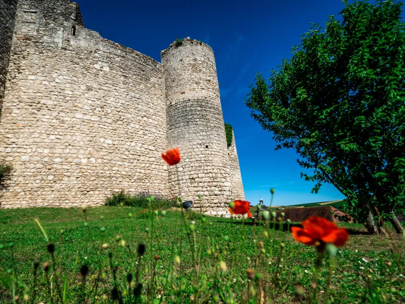 Billy et sa forteresse