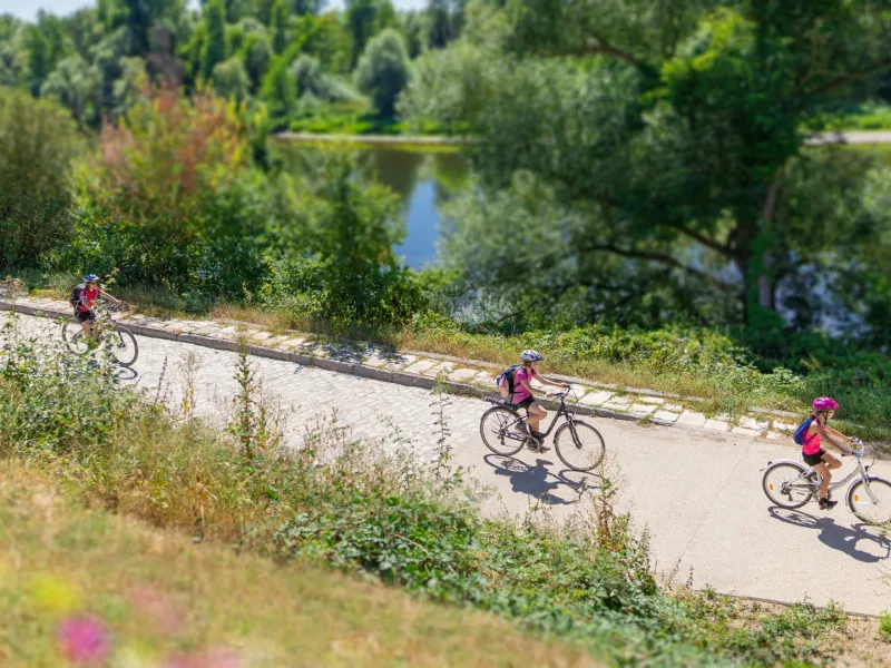 Cyclistes sur la voie verte Vichy-Billy