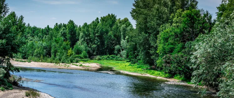 Confluence de la Morge et de l'Allier à Luzillat 